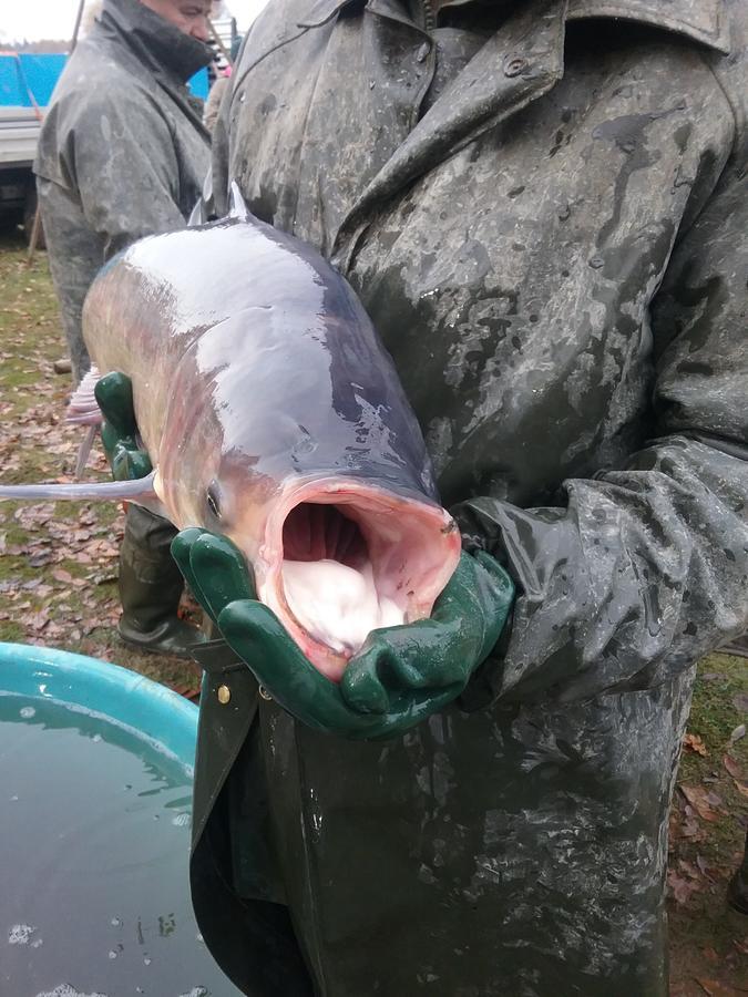 Penzion Pohoda Kvilda Kültér fotó